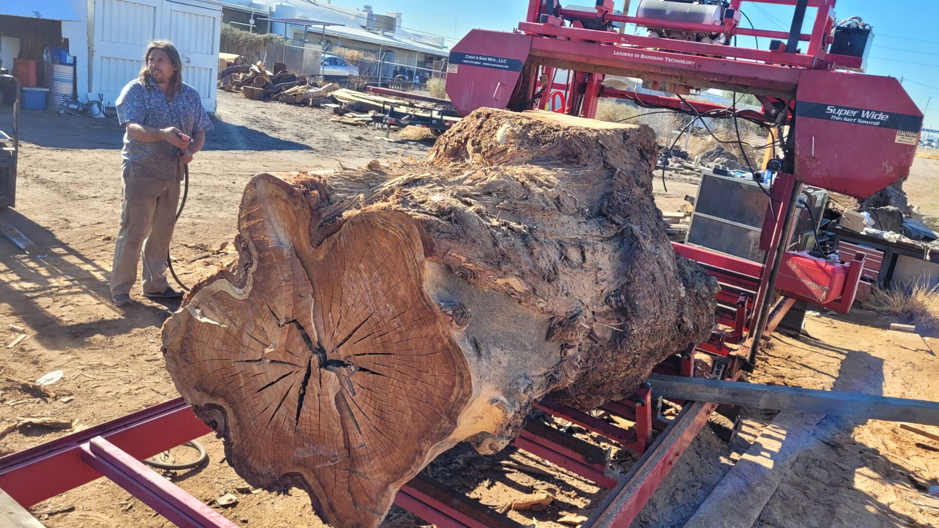 4x10ft MicroTheca Eucalyptus log on sawmill