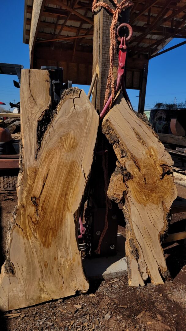 Olive wood live edge slabs with burl