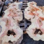 flame box elder burl wood slabs