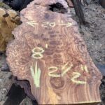 Box Elder burl live edge wood slabs