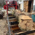 sawmill cutting box elder burl