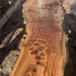 Box Elder burl live edge wood slabs